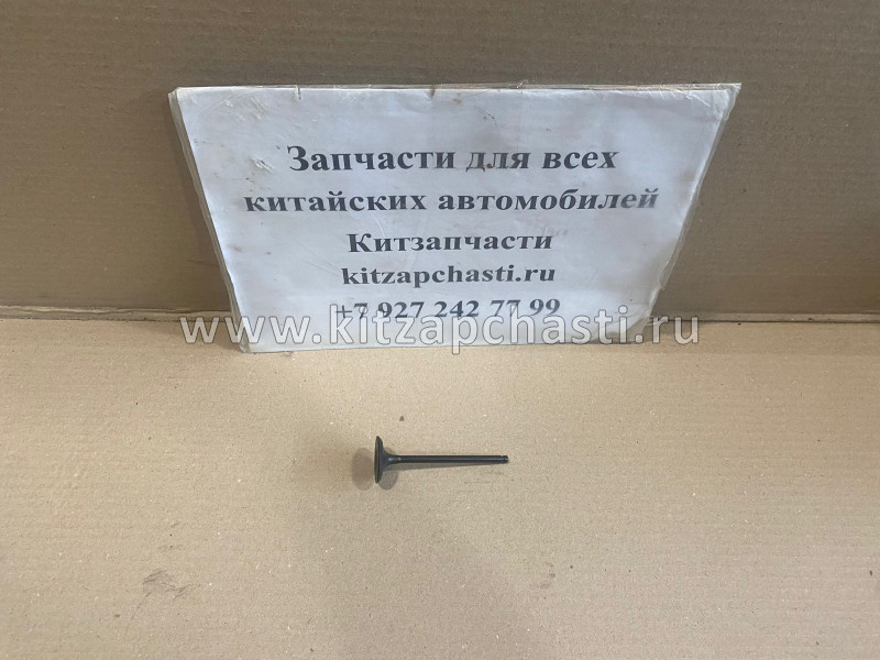 КЛАПАН ВПУСКНОЙ Haval Jolion 1007011-EG01