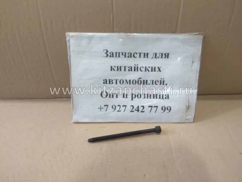 Болт ГБЦ Chery Indis 481H-1003082